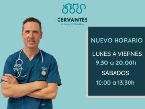 Lee más sobre el artículo Clínica Veterinaria Cervantes estrena nuevo horario en Villena